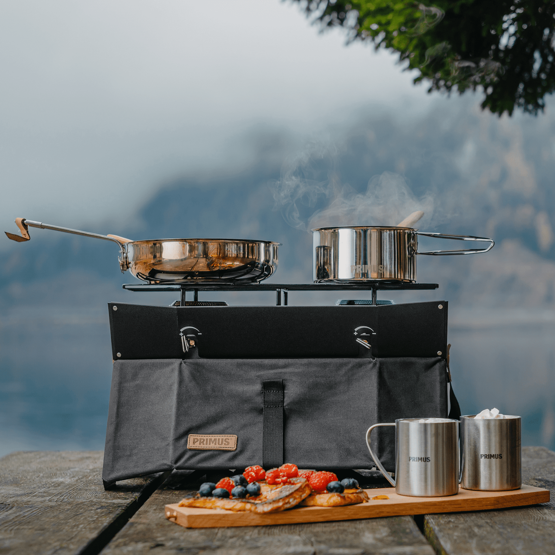 Primus onja 2 burner stove online